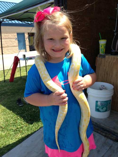 A smiling girl in a blue shirt holds a large yellow snake around her shoulders at an outdoor event.