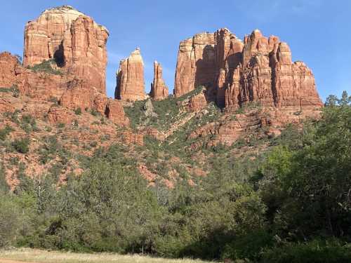 Red rock formations rise majestically against a blue sky, surrounded by green trees and shrubs in a natural landscape.