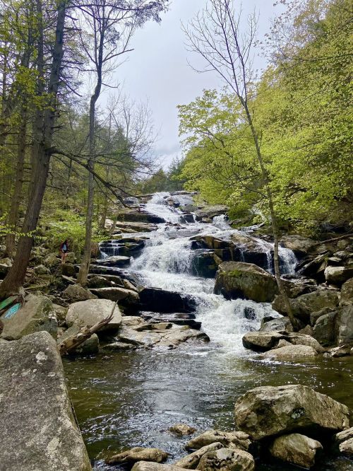 A serene waterfall cascades over rocks, surrounded by lush green trees and a tranquil stream.
