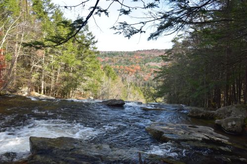 A serene river flows over rocks, surrounded by trees and colorful autumn foliage in the background.