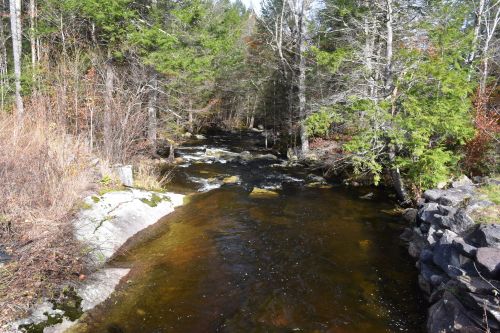 A serene river flows through a forested area, surrounded by trees and rocky banks under clear blue skies.
