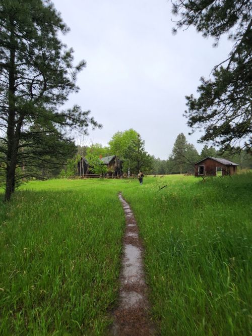 A winding path through tall grass leads to an old, weathered house surrounded by trees in a serene landscape.