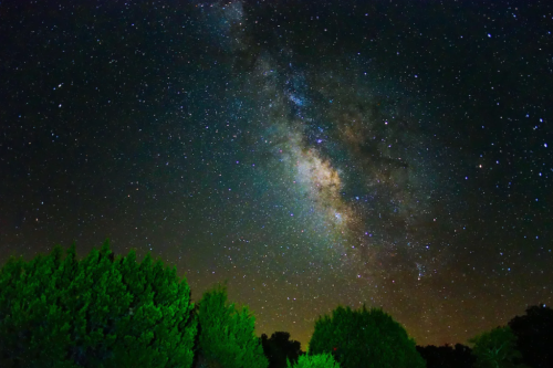 A starry night sky featuring the Milky Way, with silhouetted trees in the foreground.