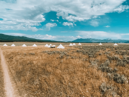 A scenic view of white tents in a grassy field under a blue sky with clouds and distant mountains.