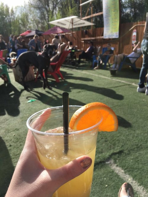 A hand holds a drink with an orange slice, with a lively outdoor crowd and dogs in the background.