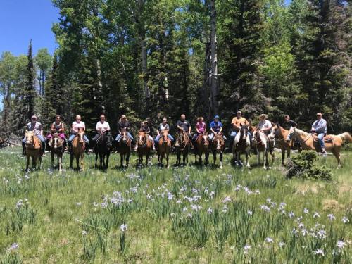 A group of people on horseback in a lush green forest with wildflowers, enjoying a sunny day outdoors.