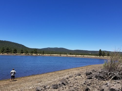A person stands by a calm lake surrounded by trees and mountains under a clear blue sky.