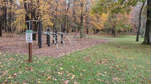 A playground with climbing equipment and swings, surrounded by autumn trees and fallen leaves.