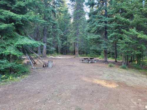 A serene forest campsite with tall trees, a picnic table, and a fire pit area on a clear day.