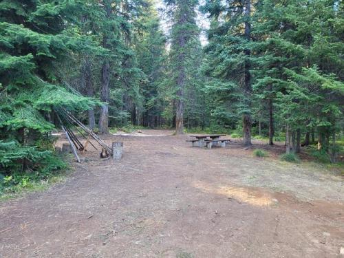 A serene forest campsite with tall trees, a picnic table, and a fire pit area on a clear day.