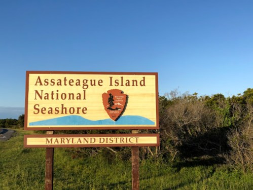 Sign for Assateague Island National Seashore, Maryland District, with clear blue sky and greenery in the background.