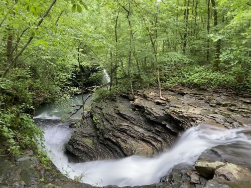 A serene forest scene featuring a flowing waterfall surrounded by lush green trees and rocky terrain.