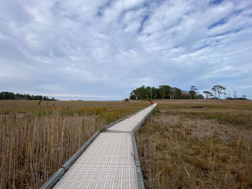 A wooden boardwalk stretches through tall grass, leading to a distant tree line under a cloudy sky.