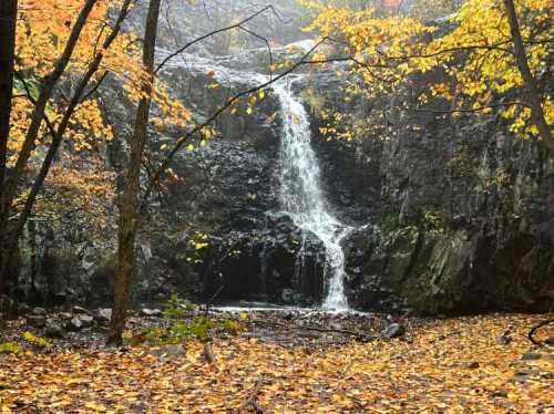 A serene waterfall cascades over rocks, surrounded by vibrant autumn foliage and a carpet of fallen leaves.