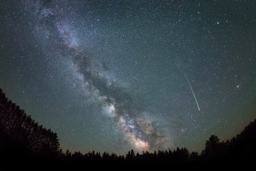 A stunning view of the Milky Way galaxy with a shooting star above a dark forest silhouette.