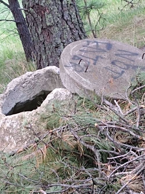 A concrete well cover lies partially on the ground, surrounded by pine needles and grass in a wooded area.