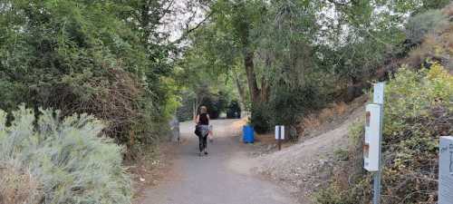 A person walks down a tree-lined path, with greenery on both sides and a blue trash can nearby.