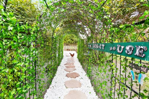 A garden path lined with stones, surrounded by greenery, leading to a sign that reads "The Rabbit House."