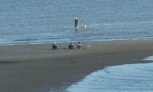 A person wades in shallow water with a dog, while three people sit on the beach in the background.