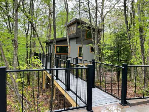 A modern treehouse with large windows, elevated on stilts, surrounded by lush green trees and a wooden walkway.