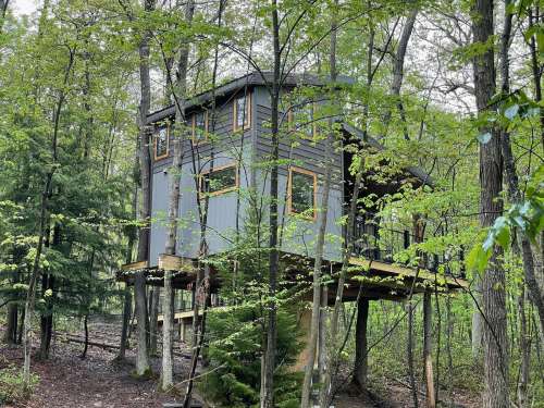 A modern treehouse nestled among lush green trees in a forested area.