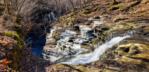 A serene waterfall cascades over rocky terrain, surrounded by trees and fallen leaves in a tranquil forest setting.