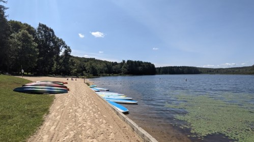 A sandy beach by a calm lake, lined with colorful kayaks and surrounded by green trees under a clear blue sky.