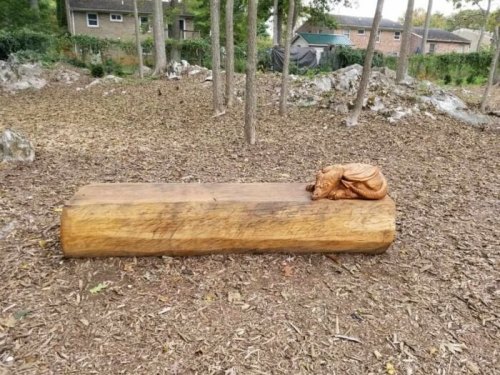 A carved wooden frog resting on a large log in a forested area with scattered rocks and trees.