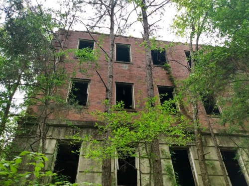 Abandoned brick building surrounded by tall trees and greenery, with several windows missing.