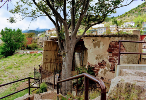 A weathered, partially collapsed building with a tree growing nearby, surrounded by greenery and distant hills.