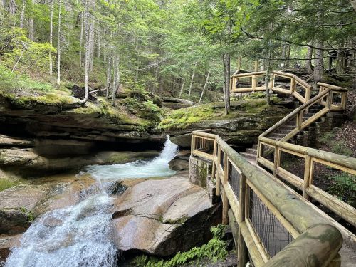 A wooden walkway winds through a lush forest, alongside a flowing stream and rocky terrain.