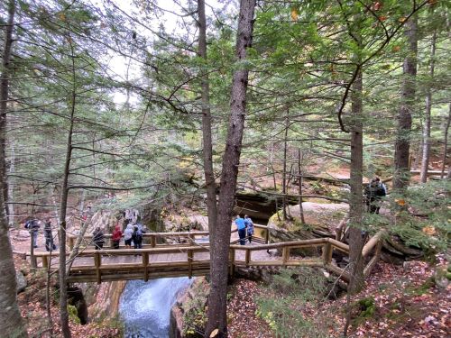 A wooden bridge crosses a stream in a forest, with people walking and enjoying the natural scenery around them.