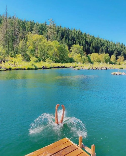A person diving into a clear blue lake from a wooden dock, surrounded by lush green trees and a bright blue sky.