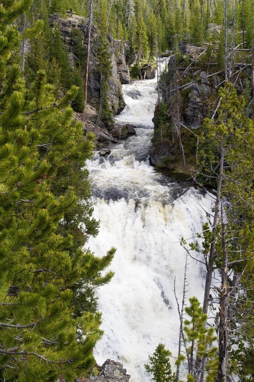 A cascading waterfall surrounded by lush green trees and rocky cliffs in a forested area.