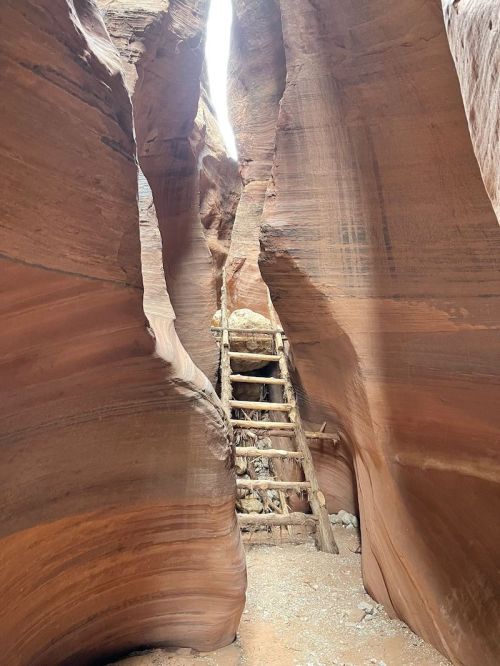 A narrow canyon with smooth, reddish walls and a wooden ladder leading up to a light source above.