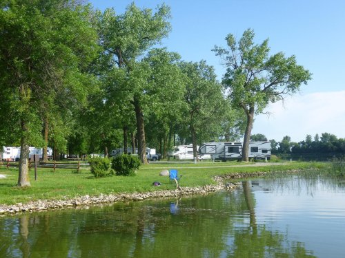 A serene lakeside view with RVs parked among lush green trees and calm water reflecting the sky.