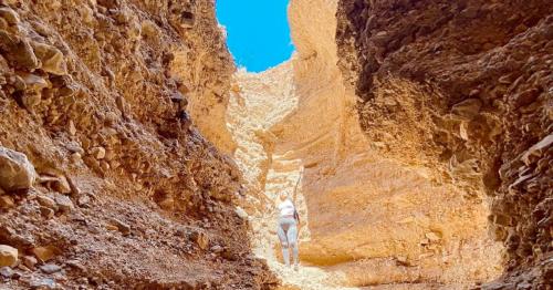 A person stands at the base of a narrow canyon, surrounded by tall, rocky walls and a bright blue sky above.