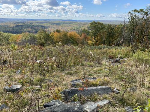 A scenic view from a hilltop, showcasing a landscape of trees and rocks under a blue sky with scattered clouds.