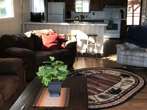 Cozy living room with a sofa, armchair, coffee table, and a rug featuring bears, illuminated by natural light.