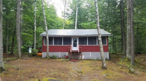 A red cabin with a metal roof surrounded by trees and mossy ground in a wooded area.