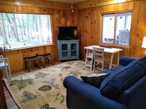 Cozy cabin interior with wooden walls, a blue sofa, a small table, and windows overlooking a forested area.