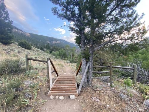 A wooden bridge leads over a small path surrounded by trees and mountains under a cloudy sky.