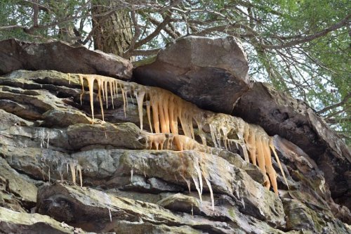 Dripping orange mineral deposits on a rocky cliff, with trees above and natural textures visible.