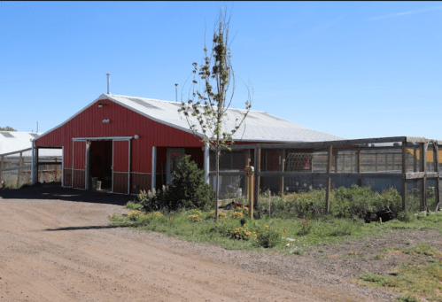 A red barn with a metal roof, surrounded by a dirt path and greenery under a clear blue sky.