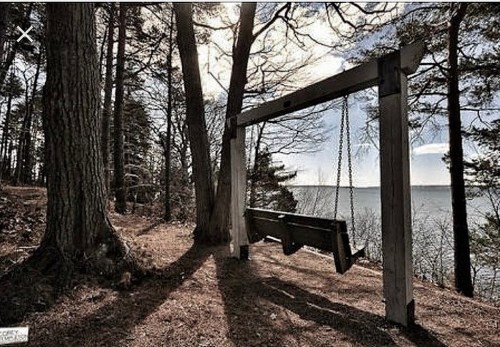 A wooden swing hangs from a frame near a lake, surrounded by tall trees and soft sunlight filtering through the branches.