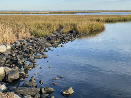 A serene landscape featuring a calm waterway bordered by rocky shores and tall grasses under a clear sky.