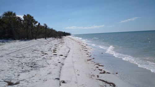 A serene beach scene with soft white sand, gentle waves, and sparse palm trees under a clear blue sky.