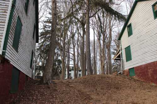 Two old, white wooden buildings with green shutters, surrounded by bare trees and a sloped, leaf-covered ground.