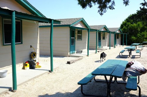 Row of small cabins with green trim, picnic tables, and a dog walking on a sandy path under a clear blue sky.