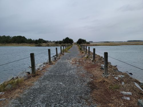 A gravel path lined with wooden posts stretches over water, leading into a cloudy, serene landscape.